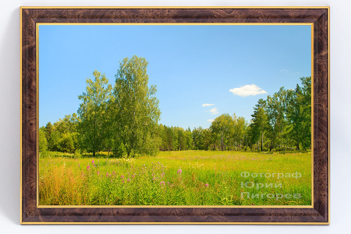 Продаётся фотокартина- Летняя полянка