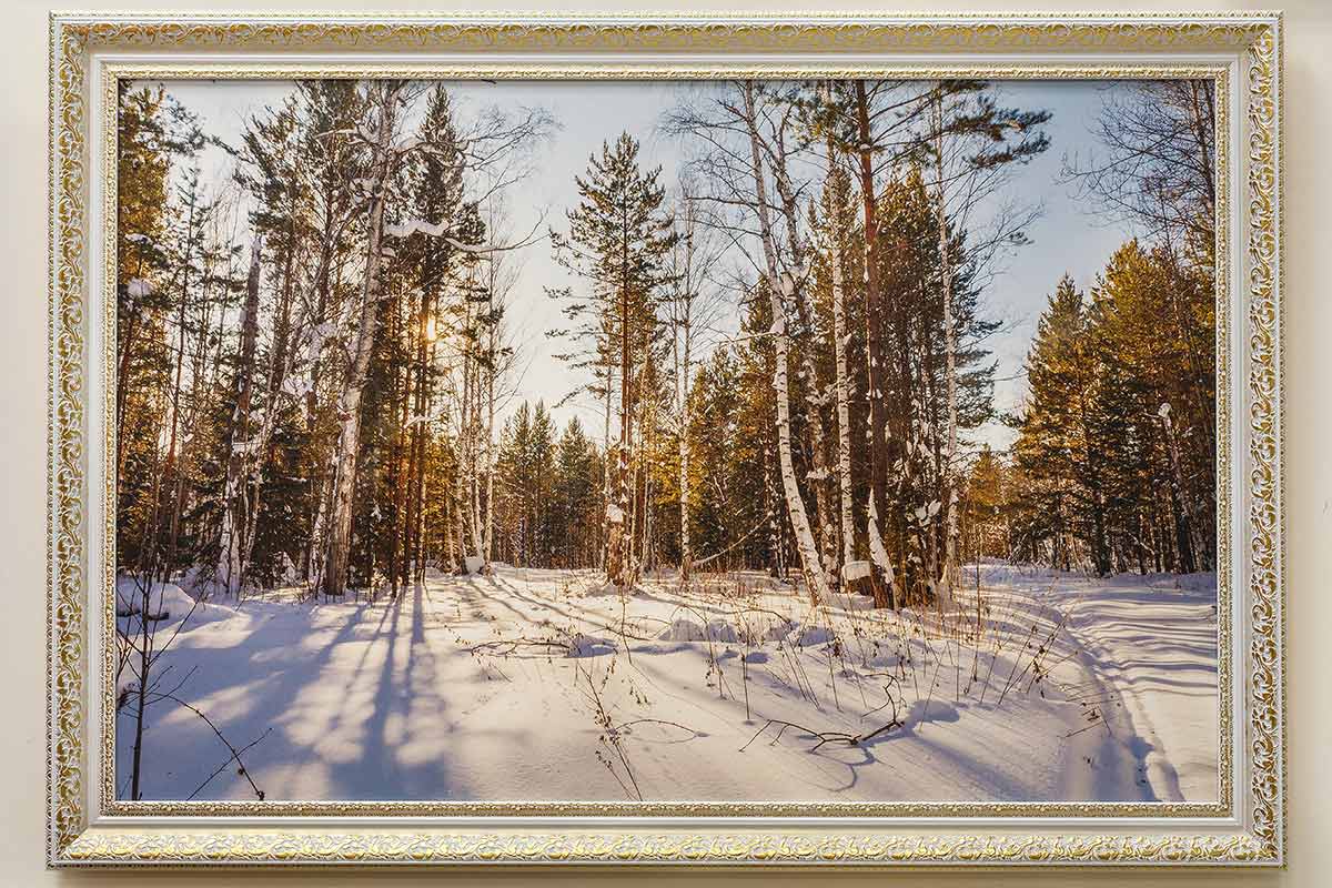 Картина с природой - Утро в зимнем лесу